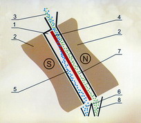Рис.1.Схема работы электромагнитного барьерного сепаратора "Туркенич"
